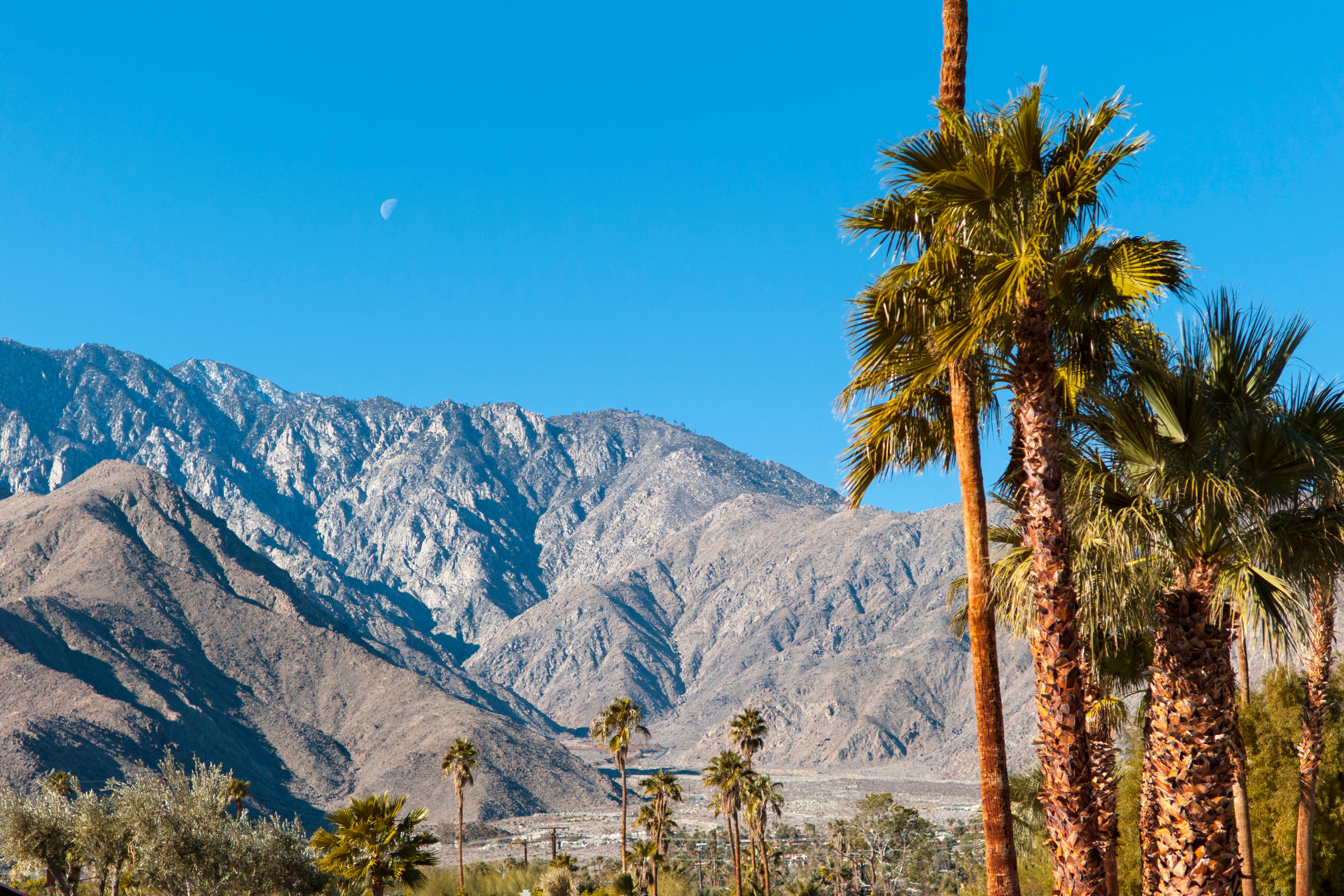 palm springs, california (2).webp
